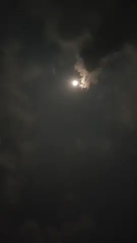 #serunyabelajar 