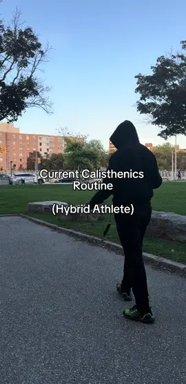 Here’s a short & Simple Calisthenics Workout For Those Looking To Jump Into Calisthenics.  #Calisthenics #bodyweight #Fitness 