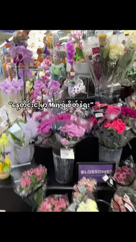 May<3 #may #tiktokmyanmar  #tiktokviral #fyppppppppppppppppppppppp #fyp 