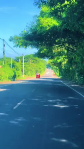 #el_salvador🇸🇻 #ahuchapan🇸🇻 #la_hachadura🛣 #fypツ 