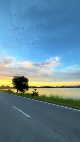P.Ramlee Saloma🎵+Sunset☀️+Kampung✨ #sunset #xybca #fypdong #fyp #fyppppppppppppppppppppppp 