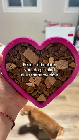 FreezBone heart is the perfect enrichment treat for dogs—keep them busy, stimulated, and satisfied while supporting healthy chewing habits.  #TikTokShopFallDealsForYou #TikTokShopBlackFriday #tiktokshopcreatorpicks #freezbone #dogenrichment 
