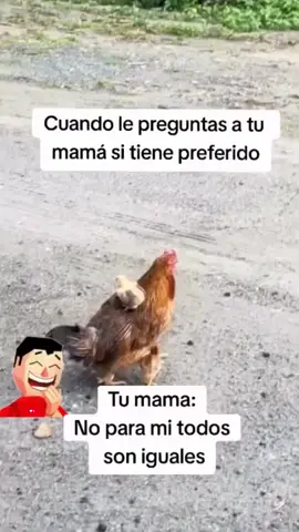 No 🙂‍↔️ Creo #paratiiiiiiiiiiiiiiiiiiiiiiiiiiiiiii #mama #humortiktok #humorparati #felizmartes 