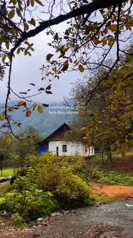 #payız #mənzərə #çokgüzel #🍁🍂
