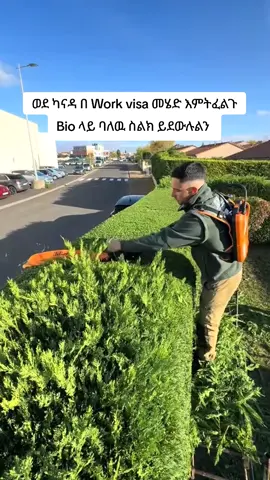 09 90 92 59 99#ethiopian_tik_tok🇪🇹🇪🇹🇪🇹🇪🇹 #ኦሮሞ_ተወላጆች_ኢትዮጵያውያ❤️💚❤️💚❤️❤️❤️💚❤ #viral_video #fyp 