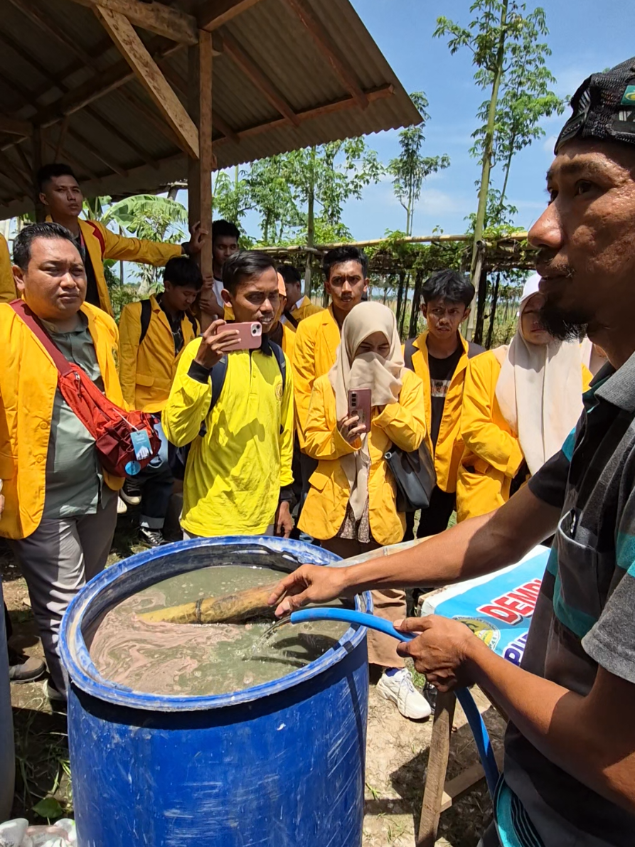 🌱 RAMUAN PUPUK GENDERUWO 🌱 MANFAAT DAN KEUNGGULAN 1. Sebagai anti virus tanaman 2. Mengurangi biaya pemakaian pupuk hingga 80% 3. 10x lebih cepat diserap tanaman 4. Efisien dan murah 5. Ramah lingkungan 6. Meningkatkan produksi panen 7. Meningkatkan daya tahan tanaman terhadap hama dan penyakit ALAT DAN BAHAN : 1. Drum 200 Liter 2. Air 3. Kotoran sapi/kerbau segar 40-50 Kg (jika tidak ada bisa ganti urine 60 liter,atau urine 60 atau kohe kambing ramban halus 25 kg atau domba putih 40 kg atau kohe ayam 25 kg) 4. Batu kapur hidup/gamping 3-5 kg untuk tanah normal. 5-10 untuk tanah gambut dan pH rendah (jika tidak ada bisa ganti semen 6 kg). 5. Urea Non Subsidi 10 Kg / Urea Subsidi 20 Kg / NPK 25 Kg / ZA 20 Kg (pilih salah satu, khusus padi pakai phonska plus 12,5 Kg + urea subsidi 12,5 Kg, Cabe dan Holti pakai Phonska plus 25 Kg) 6. Sullfoxs 1 Botol 7. Banon Phospate 66 1 Botol 8. Dogumon 1 Botol CARA PEMBUATAN 1. Sediakan drum 200 Liter dan isi air sampai 3/4 drum 2. Masukkan kotoran sapi/kerbau segar 40-50 Kg ke dalam drum lalu aduk hingga rata (atau urine 60 liter atau kohe kambing ramban halus 25 kg atau domba putih 40 kg atau kohe ayam 25 kg) 3. Masukkan batu kapur hidup/gamping 3-5 Kg atau semen 6 kg dan diamkan terlebih dahulu selama 5-10 menit sampai selesai bereaksi. Kemudian aduk hingga rata. (Jika pakai semen langsung diaduk, tidak perlu ditunggu)  4. Masukkan Urea Non Subsidi 10 Kg/Urea Subsidi 20 Kg/NPK 25 Kg/Za 20kg (pilih salah satu) lalu aduk sampai rata 5. Masukkan SULLFOXS 1 Botol 6. Masukkan BANON PHOSPATE 66 1 Botol 7. Tambahkan air hingga sampai penuh lalu aduk 8. Masukkan Dogumon 1 Botol 9. Aduk hingga rata 10. RAMUAN PUPUK GENDERUWO SUPER siap digunakan dengan dosis yang berbeda disetiap tanaman. untuk dosis bisa WA admin ✅ DAPAT DISIMPAN BERTAHUN TAHUN ASAL DI TUTUP RAPAT DAN TIDAK TERKENA AIR HUJAN ✅ LANGSUNG BISA DIGUNAKAN TANPA FERMENTASI Untuk info pemesanan/info lebih lanjut hubungi admin: Wa = 082143919911 Shopee Resmi = shopee.co.id/indofastagronusantara_official Instagram = @indofast_agro_nusantara Tiktok = Indofast Agro Nusantara @pupukgenderuwo SALAM MAKMUR BERKAH TURAH #pupukgenderuwosuper #caramembuatramuanpupukgenderuwo #pupukgenderuwo #ramuanpupukgenderuwo #indofastagronusantara 