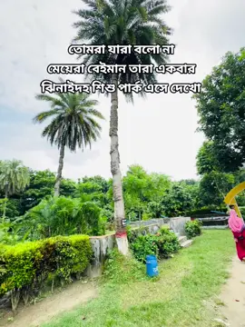 তোমরা যারা বলো না মেয়েরা বেইমান তারা একবার ঝিনাইদহ শিশু পার্ক এসে দেখো 😂😎#fyp #trendingtiktok #ঝিনাইদহের_ছেলে #foryoupageofficiall #viral?videotiktok 
