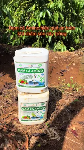 Đạm cá Amino an toàn hiệu quả