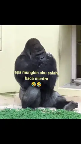 #apa mungkin aku salah baca mantra🤣🤣