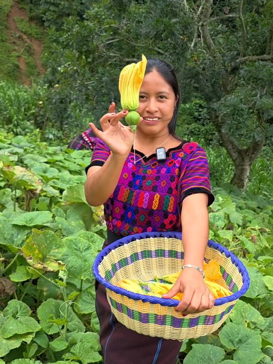Quesadillas con flor de ayote 