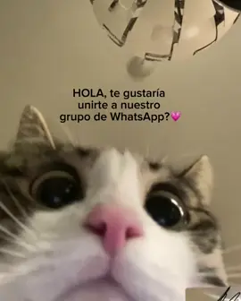 El link este en los comentarios#grupo #whatsapp 