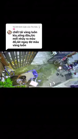 Trả lời @Trà Sữa 🥛🌸 em về thấy ẻm cứng ngắt nhưng vẫn còn nghị lực thở thấy xót ruột rang ngồi đở cho miệng bé trên mặt nước thở và để ngay dòng nước cho có oxy, may mắn bé cũng vượt quá giờ tung tăng khỏe mạnh bình thường rồi ạ. ❤️