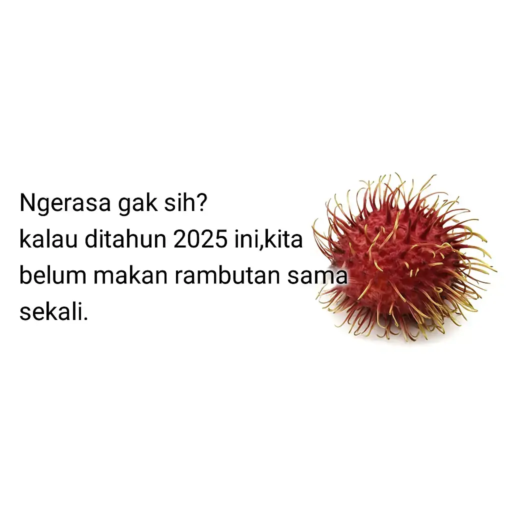 sepertinya buah rambutan untuk tahun 2025 tidak ada yang berbuah ,apakah didaerah kalian sudah pernah musim rambutan 