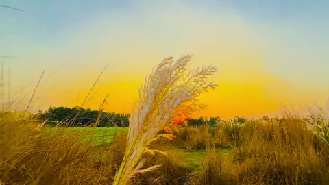 পেতেই হবে এমন তো কোন কথা নেই, অনেক কিছু দূর থেকেই সুন্দর..! 😅💔#viral #anfeezemyaccont #sky #greenscreen #viral_video_tiktok 