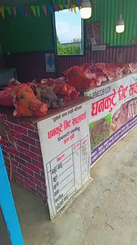 #viral #dhankutemeatsuppliers #dhankuta #sungur #purbeli #porklover #pork #porkbelly 