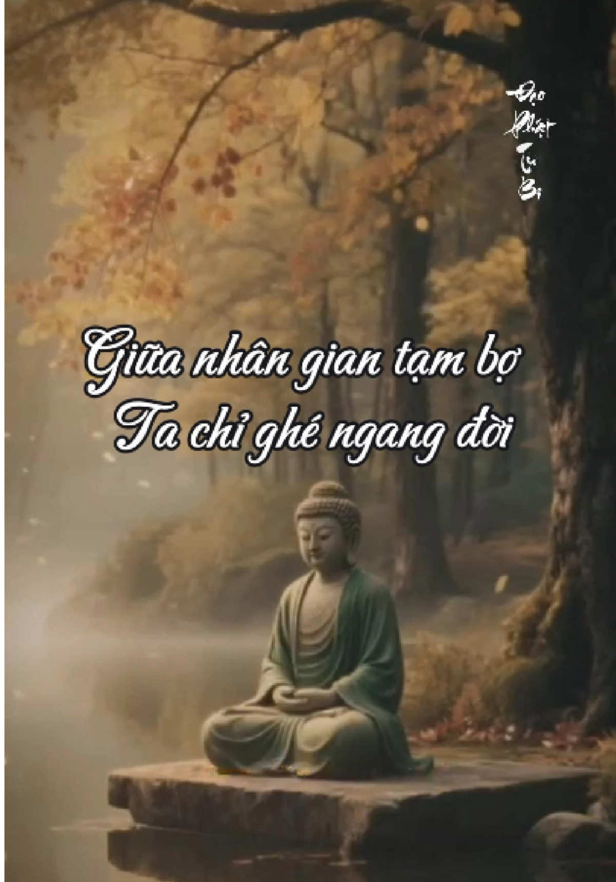 Khi đã biết cõi này là cõi tạm Giữa nhân gian ta là khách qua đường. #PhậtPháp #phatphapnhiemmau #daophattubi #trietlycuocsong #loidoiphatday