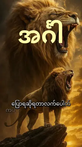 #အင်္ဂါတွေအကြောင်း🦁# #မူရင်းအားလေးစားစွာဖြင့်crdပေးပါသည် 