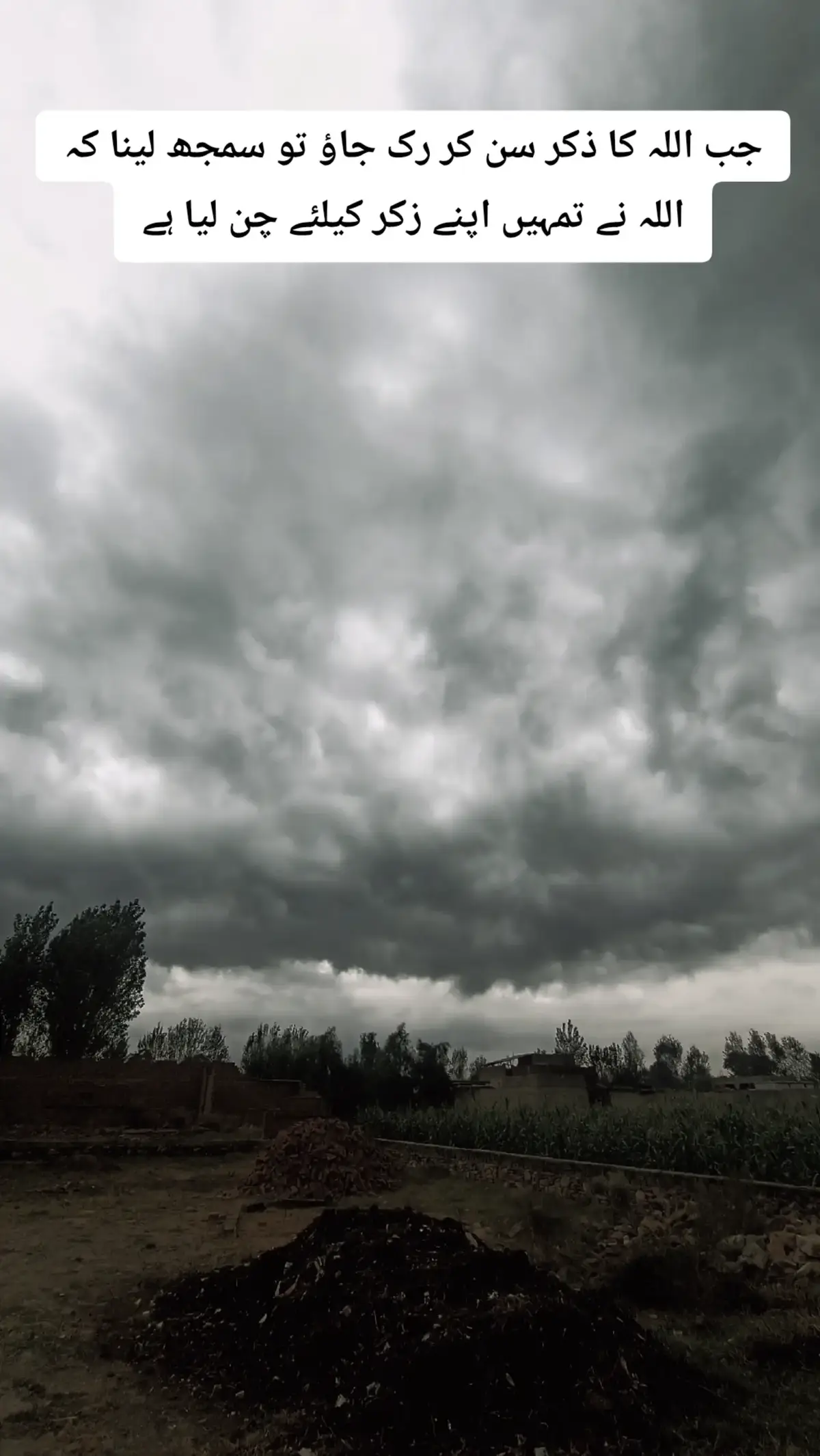 listen 🎧 Quran 🥺🎧🫀#islamic_video @TiktokPakistanOfficial @︵✰𝙉𝙖𝙪𝙢𝙖𝙣 𝙏𝙖𝙪𝙨࿐ 