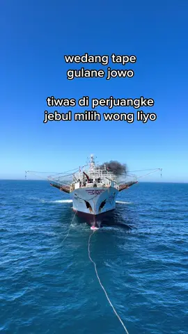 ##kaohsiung_taiwan🇹🇼 #fypシ゚viral🖤tiktok #purwokertopride🔥 #storypelaut⚓ 