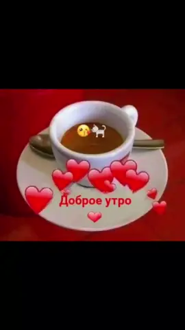 #доброеутро 
