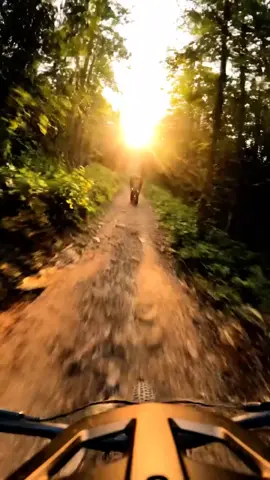 check the bio to create your own videos #elephant #wildlife #mountainbike #gopro