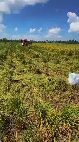 perintis bukan pewaris  #kubota #dc60รุ่นปู่ทวด  #fyp #lagubugisviral  #viralvideo 