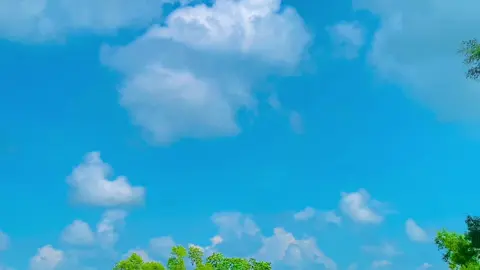 #প্রকৃতির_অপূর্ব_সৌন্দর্য🥰 #songs #foryoupage #vairal #foryou 