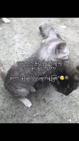 😞🪨#fypシ゚ #ppppppppppppppppppppppp #ဘယ်ချိန်မှfpyပေါ်ရောက်မှာလည်း #ဗျူးတေရှယ်ကျ😞 