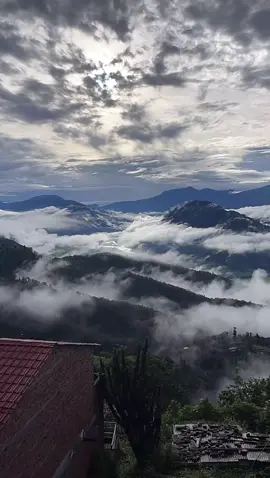 Nature!❤️ #fyppppppppppppppppppppppp #goviral #views 