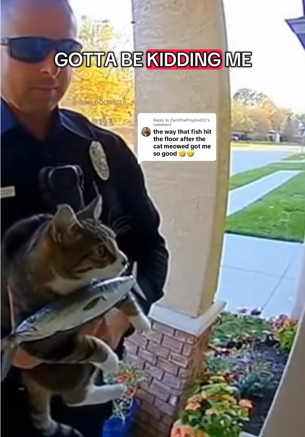 Replying to @ZachTheProphet22 🤣🐟😸👮‍♀️ #funny #cops #cat #fish #catsoftiktok 