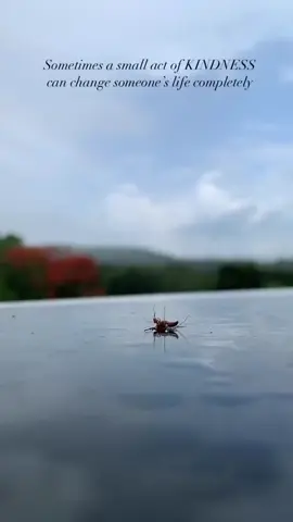 #fyp #kindness 