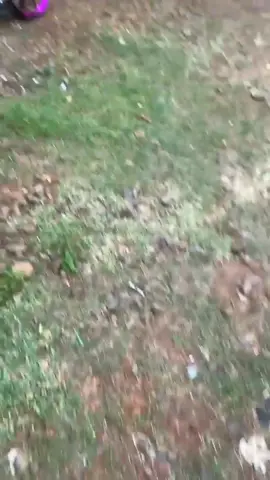 😍😍😍#5tpmenolakpunah #5tpgank🚀 #5tp #fyp #4u 