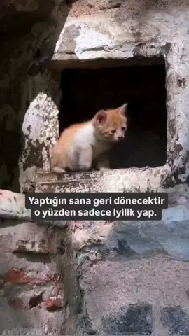 #keşfett #tik_tok #keşfett #fyp 