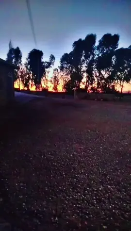 #CapCut #🥺💔🥀🎼🎼😭😔꧂ #🥺💔 