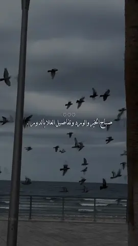 #CapCut #اكسبلورexplore #f #morning #fyppppppppppppppppppppppp 🩵🩵