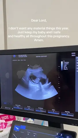 Can’t wait to see you mylovee🥺🥰 @Brotoy #baby #14weekspregnant 