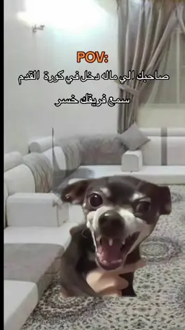 #شعب_الصيني_ماله_حل😂😂 