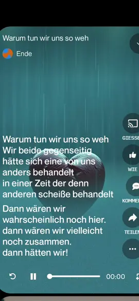 Warum tun wir uns so weh (#song) 