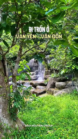 Vạn Yên luôn mang trong mình một màu xanh ngút ngàn 🌲 Mặt hồ phẳng lặng, những con đường quanh co rợp bóng mát 🌿 🎶 Không gian trong trẻo đến mức chỉ cần nhắm mắt lại cũng nghe rõ tiếng chim hót líu lo, tiếng lá rung rinh trong gió và dòng suối róc rách ngân nga 🫧  💌 Xin chào và hẹn gặp bạn tại Vạn Yên ❤️ #khudulichsinhthaivanyen #sinhthaiqueminh #sontungmtp 