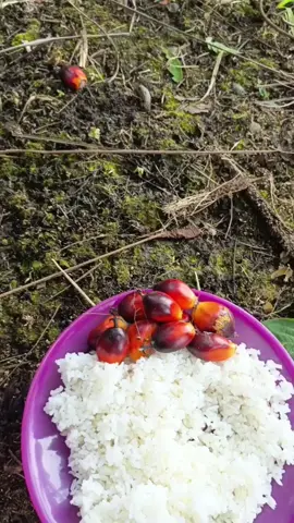 madang  lawoh brondolan muantap rasane  #kulisawit  #fyp #komedikocak  #folowers  #like 