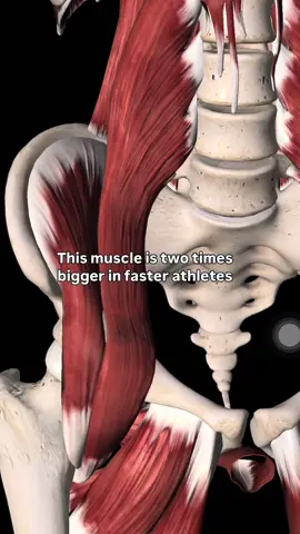 How to train the Hip Flexors to run faster #trainlikeanathlete 