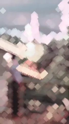 #မြင်ပါများပီးချစ်ကျွမ်းဝင်အောင်လို့🤒🖤 #ရောက်စမ်းfypပေါ် #မလှမပလေးပါ😔💞 