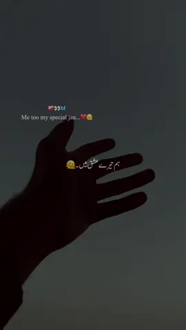 🤌🏻❤️ہم تیرے عشق میں #aesthetic #urdupoetry #faryou #viral_video #1millionaudition 