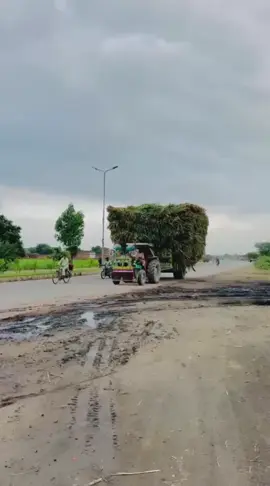 #🤲🤲🤲🌽🌽🤍🤍🤍🌽🌽🤲🤲 🩵🩵🩵🌽💚💛🌸🌼