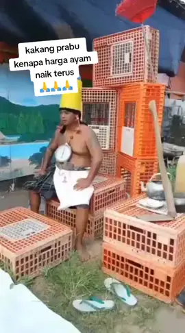 pas mau kongres ayam naik trus ...🤣🤣🤣