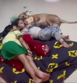 Hứa với người ta đánh xong trận này nhường đt mà 3 4 trận rồi khum đưa 😭😭😭