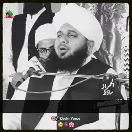 𝙎𝙖𝙧𝙮 𝙋𝙖𝙞𝙨𝙮 𝘽 𝘼𝙗𝙪 𝙆 𝙊𝙧 𝙏𝙪 𝘽 𝘼𝙗𝙪 𝙆𝙖 𝙃𝙖 🥹❤‍🩹🫀#qadri_voice #peerajmalrazaqadri #fatherlove #alhamdulillah #trending 