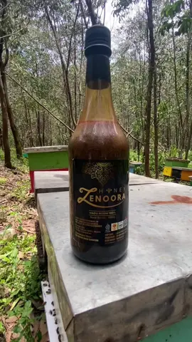 madu yang asal usulnya udah jelas seperti madu zenoora  #MaduZenoora #MaduAsli #MaduHutan #Madusehat #promomakan1010 