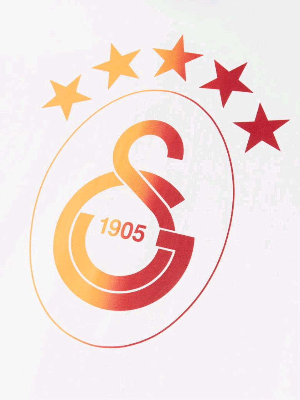 Koreografi ultrAslan sanatıdır.