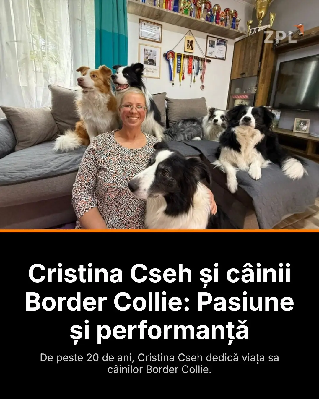 Cristina Cseh a dedicat peste două decenii câinilor săi, cinci exemplare Border Collie. Interviul dezvăluie pasiunea ei și performanțele obținute, evidențiind succesul în competițiile internaționale. Descoperă povestea lor pe zpl.ro! #BorderCollie #AnimaleDeCompanie #Pasiune #DresajCanin #Romania